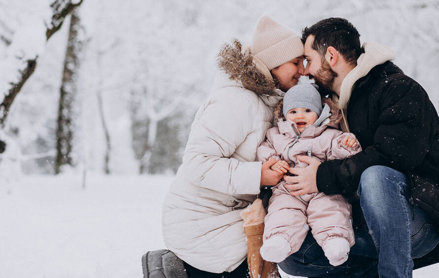 Početak godine u Provitalisu